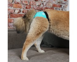 Ebi - Dierenkleding - Hond - Loopsheidsbroekje 2st - Xxl - 60-70cm - Incl 4 Pads - 2st