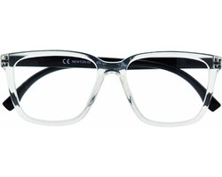 Ear2Ear 21702 Newton Leesbril transparant met zwarte poot +1.50