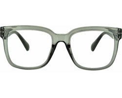 Ear2Ear 21802 leesbril Max sterkte +1.00 tm +3.00 Grijs transparant montuur, zwarte poot
