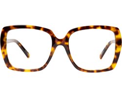 Leesbril Frank and Lucie Eyedentity -Havanna-+1.00