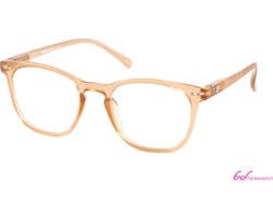 Leesbril INY Frozen-Bruin INY frozen-+2.50