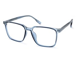 Leesbril Readr. MAXX-RDR075-Glacier-+2.00