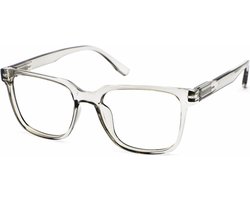 Leesbril Vista Bonita CUBO - Met blauwlichtfilter - Kleur Kadushi Silver - Sterkte +2.00 - Ideaal voor achter beeldscherm en mobiel - Goede pasvorm en flexveren - Leesglazen van uitstekende kwaliteit - Inclusief briletui en doekje