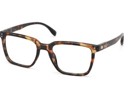 Leesbril Vista Bonita Cubo XL-Hub Havanna-+3.50