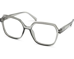 Leesbril Vista Bonita Mira-Kadushi Silver-+1.50