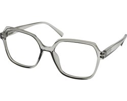 Leesbril Vista Bonita Mira-Kadushi Silver-+5.00