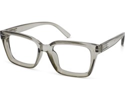 Leesbril Vista Bonita Yugo Met Blauw Licht Filter-Kadushi Silver-+1.00