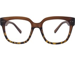 Noci Eyewear QCB341 Leesbril Asti +1.50 - Bruin met tortoise uitloop - groot montuur