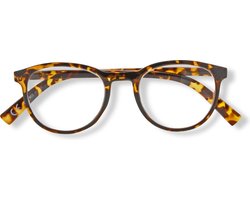 Noci Eyewear RCD350 Figo Leesbril +4.00 - Glanzend tortoise