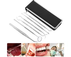 RVS Professionele Tandarts Set 6-delig-Gebit Verzorging-Mond Spiegel- tanden reiniging  set-tandsteen