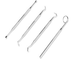 RVS Tarter Verwijderaar voor Huisdieren - Tandheelkundige Reiniging Gereedschap