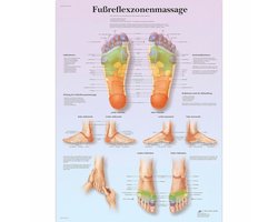 Leerbord voetreflexzone-massage 50 x 67 cm - Gelamineerd