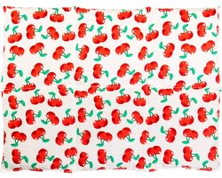 Groot Warm/Koud Kussen 40x30 cm voor Rug en Buik - Verwarmbaar voor Ontspanning