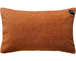 Warmpi® Draadloos Warmtekussen 30x50cm – Incl. 10.000mAh Powerbank – Infrarood Elektrisch Kussen met 3 Warmtestanden – Teddy Bruin – USB & Netstroom – 3m Kabel