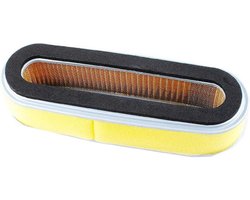 Luchtfilter vervanging voor GV150 GXV120 HR194 HR195 HR21 HRA21 HRC215 Grasmaaier (15 pc)