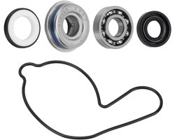 Lagerreparatieset waterpomp 19217-MAL-300 Pakkingset voor ATV-waterpomp 91001-KA4-003 Vervanging voor TRX450R 2004-2009