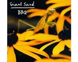 Houten BBQ voor Buiten Koken en Grillen