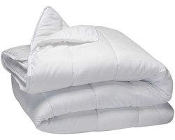 BioClean 4-seizoenen Dekbed Wasbaar - Tweepersoons (200) - 200x200