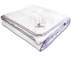 Donzen 4 seizoenen dekbed 140x220 cm