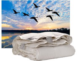iSleep Donzen 4-Seizoenen Dekbed - 100% Eendendons - Eenpersoons - 140x200 cm