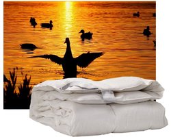 iSleep Donzen Dekbed - Enkel - 100% Dons (Warmteklasse 1) - Litsjumeaux - 240x200 cm