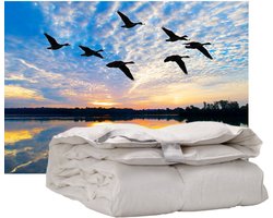 iSleep Donzen Dekbed - Enkel - 100% Dons (Warmteklasse 2) - Tweepersoons - 200x200 cm