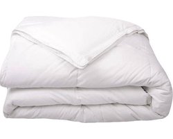 Luxe 4-Seizoenen Kinderdekbed | B-Keus | Anti Allergie | Wasbaar | 120x150 cm