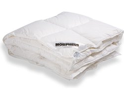 Morpheus donsdekbed Carré gewoon - 240x220 cm