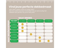 Presence - Tweepersoons Dekbed Dons Silver - All Season 260x220