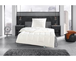 Tencel dekbed Enkel Frankenstolz Heidelberg 240*220