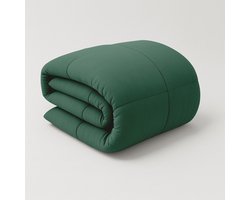 Zydante® Eazzzy Dekbed Stonewash Premium - 200 x 200 cm - Frosty spruce