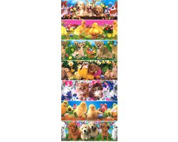 Krimpfolie voor Paaseieren - Snel Versieren in 3 Seconden - Veelzijdige Motieven - Geschikt voor Gekookte, Uitgeblazen en Kunststof Eieren - Weerbestendig en Kinderveilig