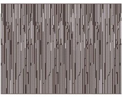 Buitenkleed | Buitentapijt ARAKIL Bruin en wit 400 脳 300 cm 50% Polypropyleen