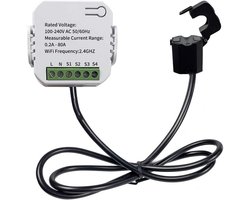 Slimme Energieverbruiker Monitor met WiFi voor DIN-rail Montage en 80A Klem
