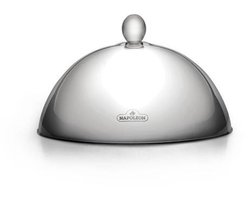 Napoleon stainless steel grill hood
