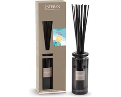 Esteban Classic Ylang Ylang Geurstokjes Initial 75ml