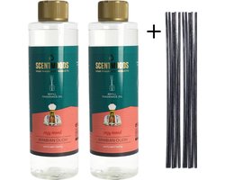 Scentmoods Geurstokjes Navulling Arabian Oudhout Set van 2 + 12 Geurstokjes - Geurverspreider - Luchtverfrisser - Huisparfum - 400ml x 2