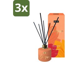 Sence - Energise - Geurstokjes - Stimulerend - 100 ml - Bulkverpakking - 3 stuks