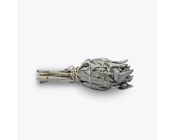 Witte Salie Smudge Fakkel - Voor Energetische Reiniging - White Sage -  1 stuk - 10 cm - 20 gram