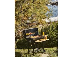 MIKE houtskoolbarbecue - Kookoppervlak 71 x 35 cm