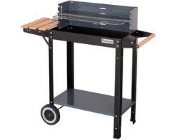 Rechthoekige houtskoolgrill 53 x 27 cm met plank en wieltjes Master Grill