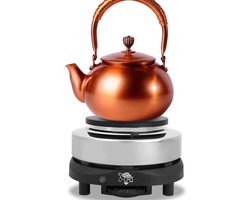 Draagbare Elektrische Kookplaat met Instelbare Temperatuur voor Reizen en Camping