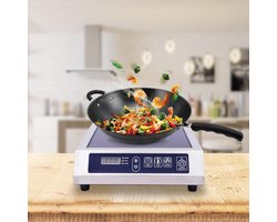 Inductie Kookplaat - Draagbare Kookplaat - Snel Koken - Roestvrijstalen Behuizing - 445 cm - Zilver