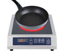 Inductiekookplaat - Elektrische kookplaat - Snel koken - Automatische panherkenning - 43 cm breed - Zwart