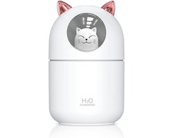 300 ml Mini Luchtbevochtiger voor Thuis met 2 Sproeimodi en Nachtlampje