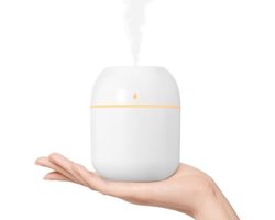 Draagbare Mini Luchtbevochtiger - Ultrasone Stilte - 220ml Capaciteit - USB Aansluiting - Auto Slaapkamer Kantoor - Nachlicht - Automatische Uitschakeling - Planten Verzorging - Persoonlijke Luchtbevochtiger