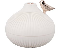 Slaapkamer koele mist luchtbevochtiger - Kleine ui-vormige vernevelaar - USB-aangedreven - Met licht - Stille mini luchtbevochtiger - Geschikt voor kantoorbureaus en kamers met airconditioning