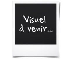 Candy CMWA32W8DLS magnetron - 900W - 32L - Digitaal - 45 Menu's - Zilver