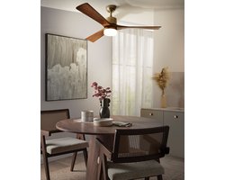 BELIANI ARUWIMI - Plafondventilator - Messing - IJzer