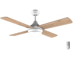 Ceiling Fan Cecotec